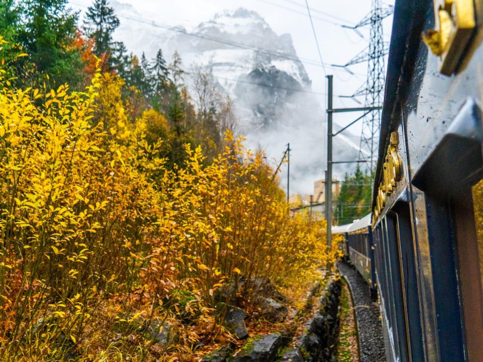 A blue train with gold lettering moves in front of mountains with foliage on the left.