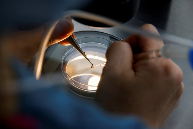 An employee demonstrates the work process before freezing eggs in a Fertility Research lab at Cha Fertility Center in Bundang