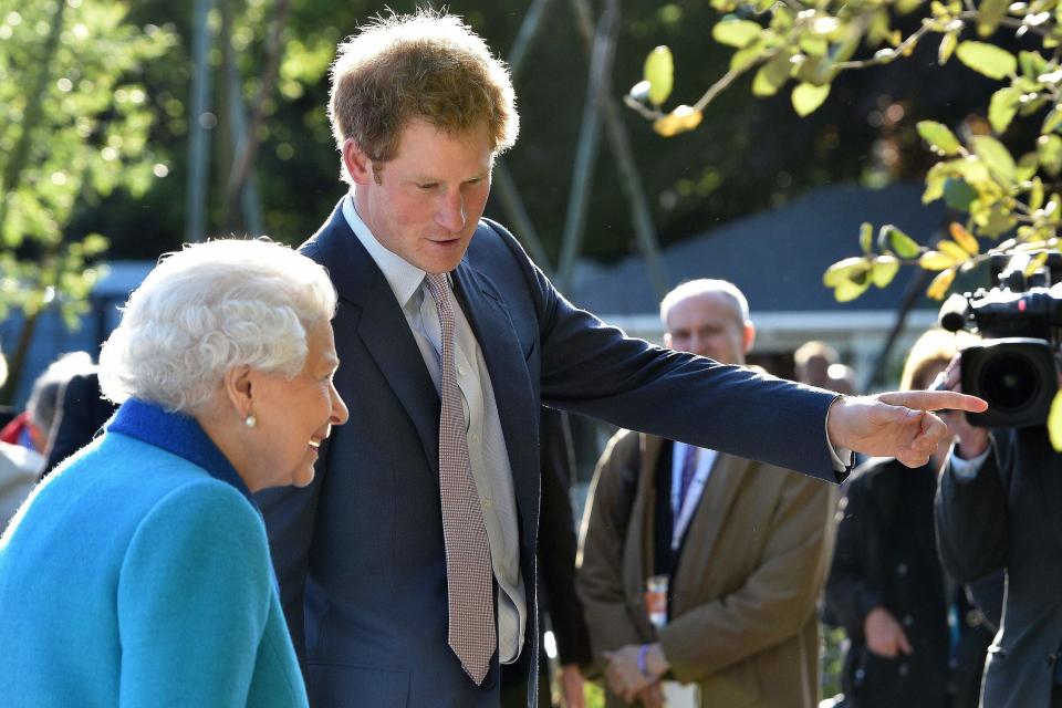 Harry with the late Queen Elizabeth II at the Chelsea Flower Show in 2015 (PA Archive)