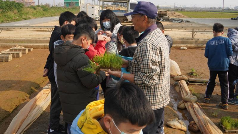 彰化香田國小食農教育　育苗中心認識秧苗生長