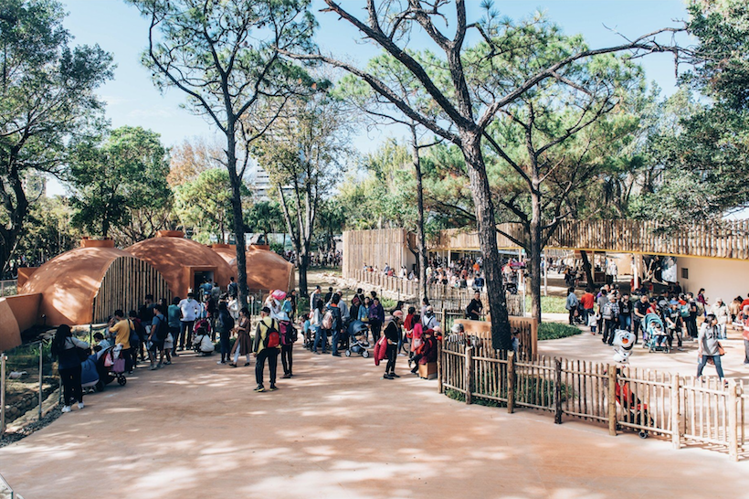 新竹市立動物園   圖：新竹市立動物園／提供(資料照片)