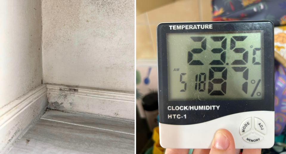 The mould in the pantry (left) and the temperature guage (right).