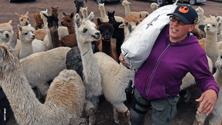 Trans Anarchists, Alpacas, and the Tenacious Unicorn Ranch