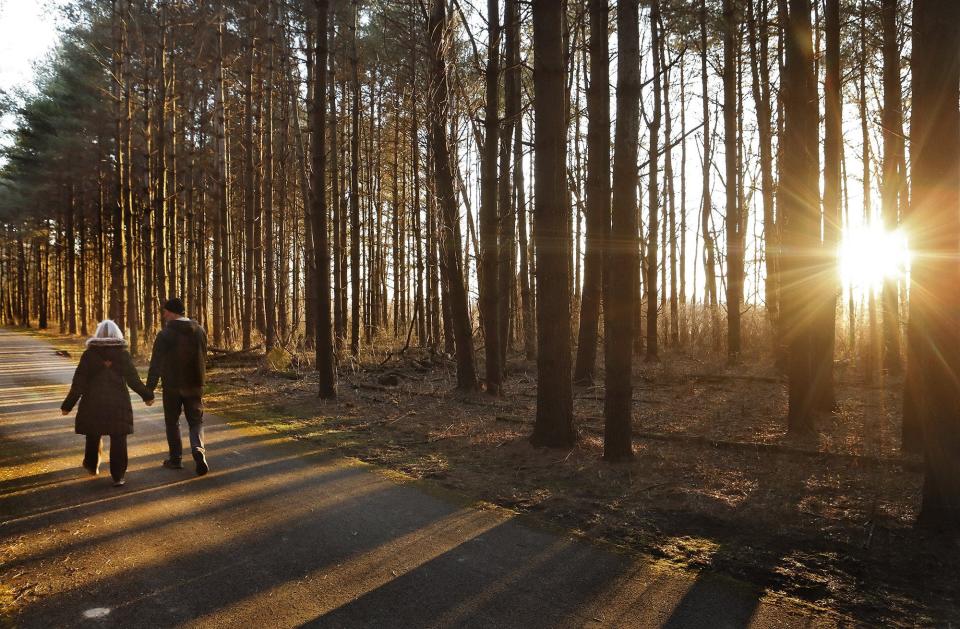 A stroll in one of the 20 area Metro Parks — including the Tall Pines Area at Walnut Woods Metro Park in Groveport — can be a romantic way to spend Valentine's Day.