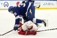 Tampa Bay Lightning left wing Brandon Hagel (38) knocks down Detroit Red Wings left wing Dominik Kubalik (81) during the first period of an NHL hockey game Tuesday, Dec. 6, 2022, in Tampa, Fla. (AP Photo/Chris O'Meara)