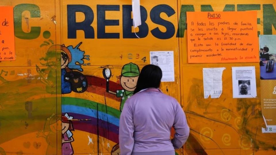 Una mujer frente a la escuela Enrique C. Rebsamen