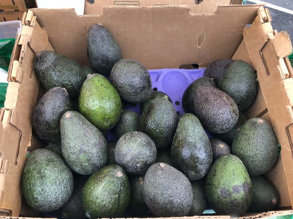 The "extra large" avocados.