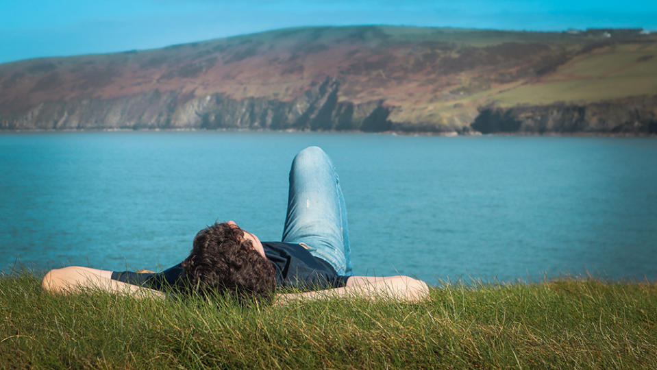 Experiencing hallucinogens in nature the way first-wavers did may hold a certain primal allure. - Credit: Jonathan Mabey/Unsplash