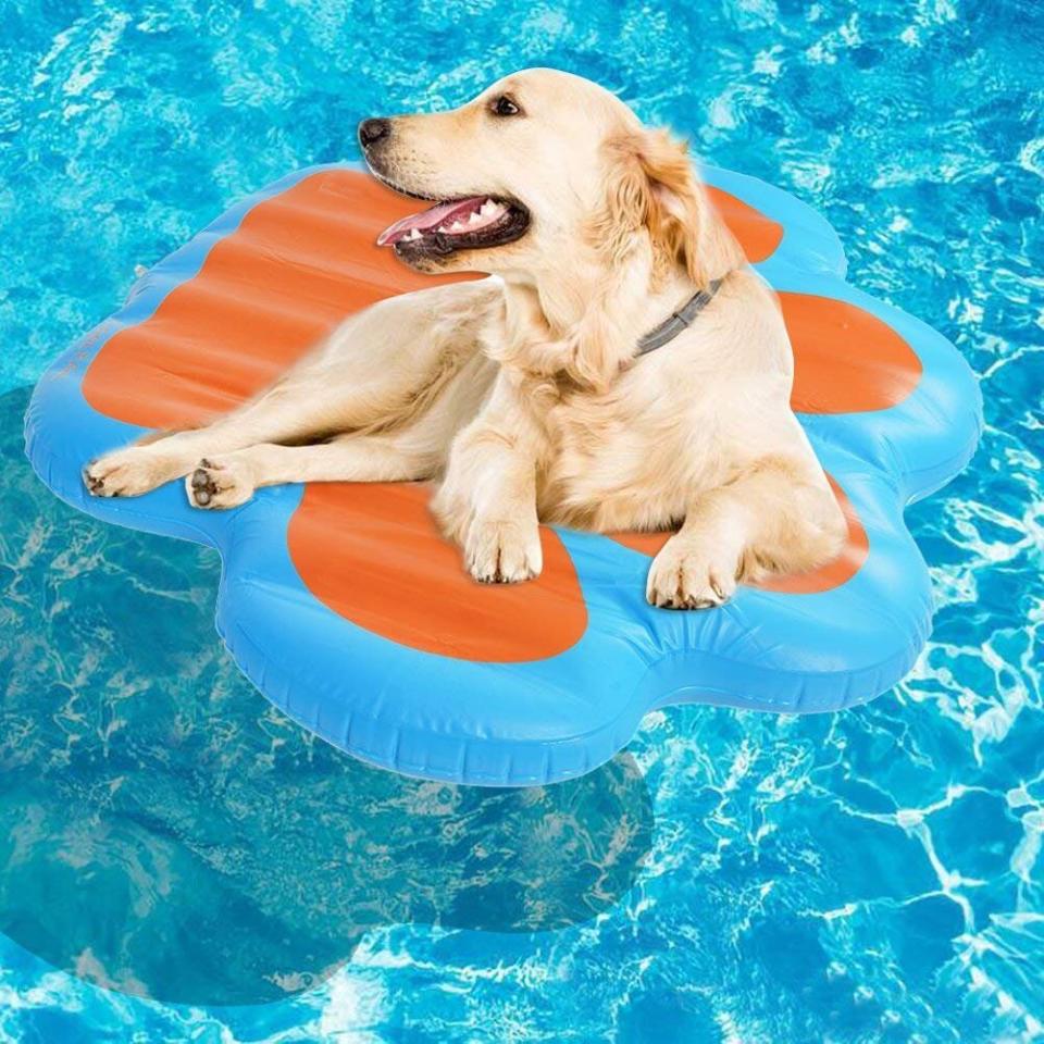 Kooltail Paw Dog Pool Float (Photo: Amazon)