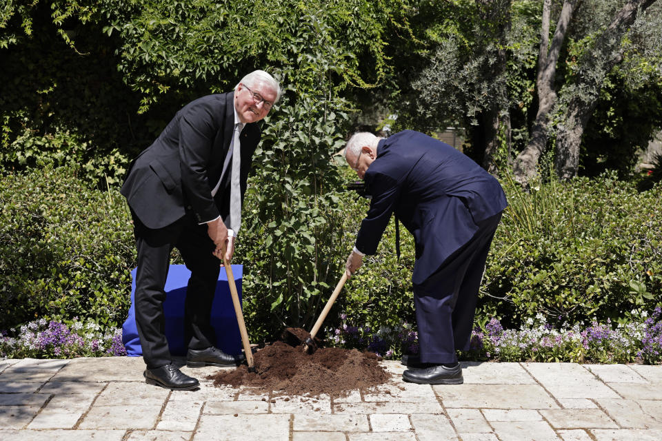 Israeli President Reuven Rivlin, right, and German President Frank-Walter Steinmeier plant a tree, at the President's residence in Jerusalem, Thursday, July 1, 2021. (AP Photo/Tsafrir Avayov)