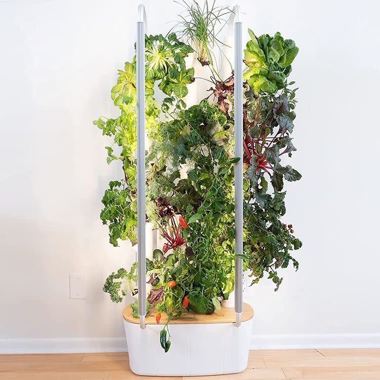 24) Gardyn Home 30-Plant Indoor Smart Garden