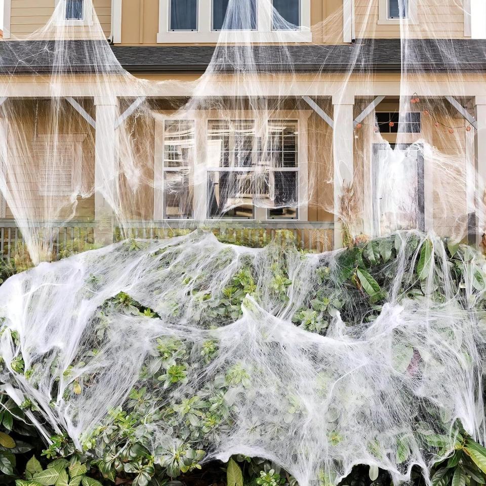 fake spiderweb on home and plants