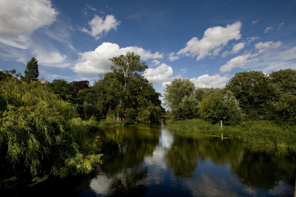 Grantchester Meadows gets busy on a hot day but there's still plenty of room to stretch out (istock)