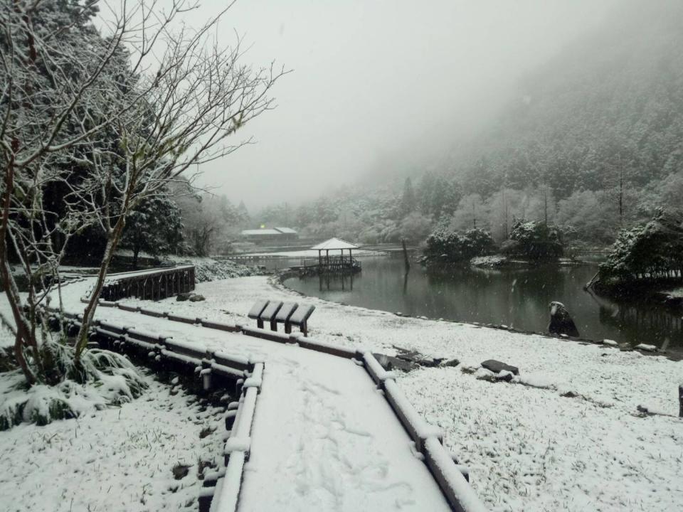 寒流降溫追雪去！全台6處下雪秘境景點推薦