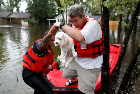 Roger Hedgpeth, carrying his dog Bodie, gets help getting to higher ground via the United States Coast Guard during Tropical Storm Florence in Lumberton, North Carolina, U.S. September 16, 2018. REUTERS/Randall Hill