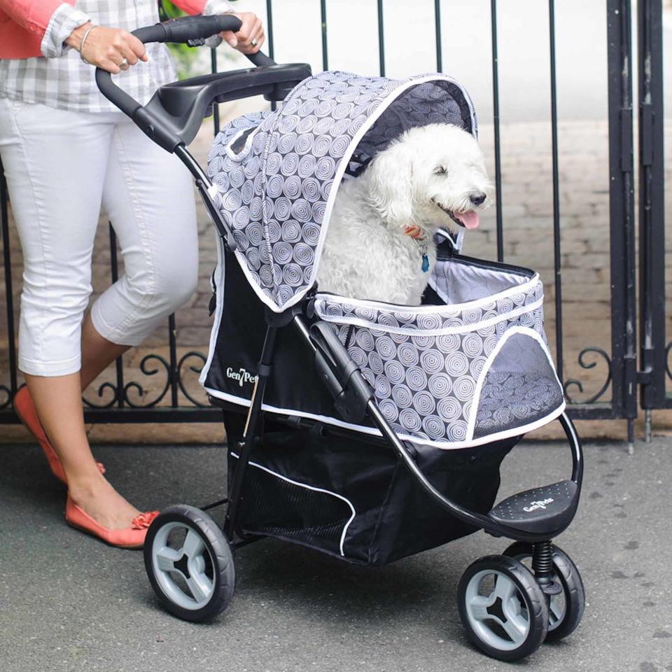 The queen of your castle, out for a stroll.(Photo: Walmart)