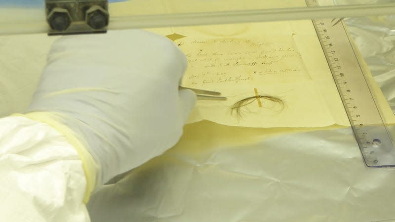 A researcher reaches for a strand of the Stumpff lock in a lab.