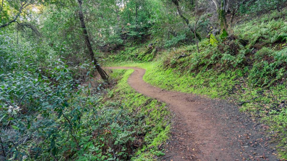 Hiking trail in Rancho San Antonio County Park, Cupertino, California, USA