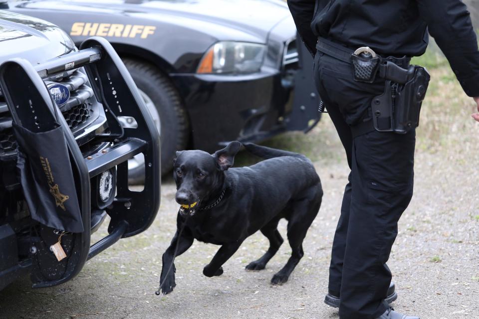 Gibbs searches vehicles for explosives in preparation to cover security during the NFL draft and NFL Draft Experience at the Wayne County Sheriff’s mounted division in Livonia, Mich., on Wednesday, April 24, 2024.