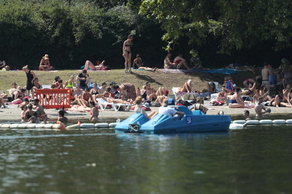 London: People sunbathe in Hyde Park (PA)
