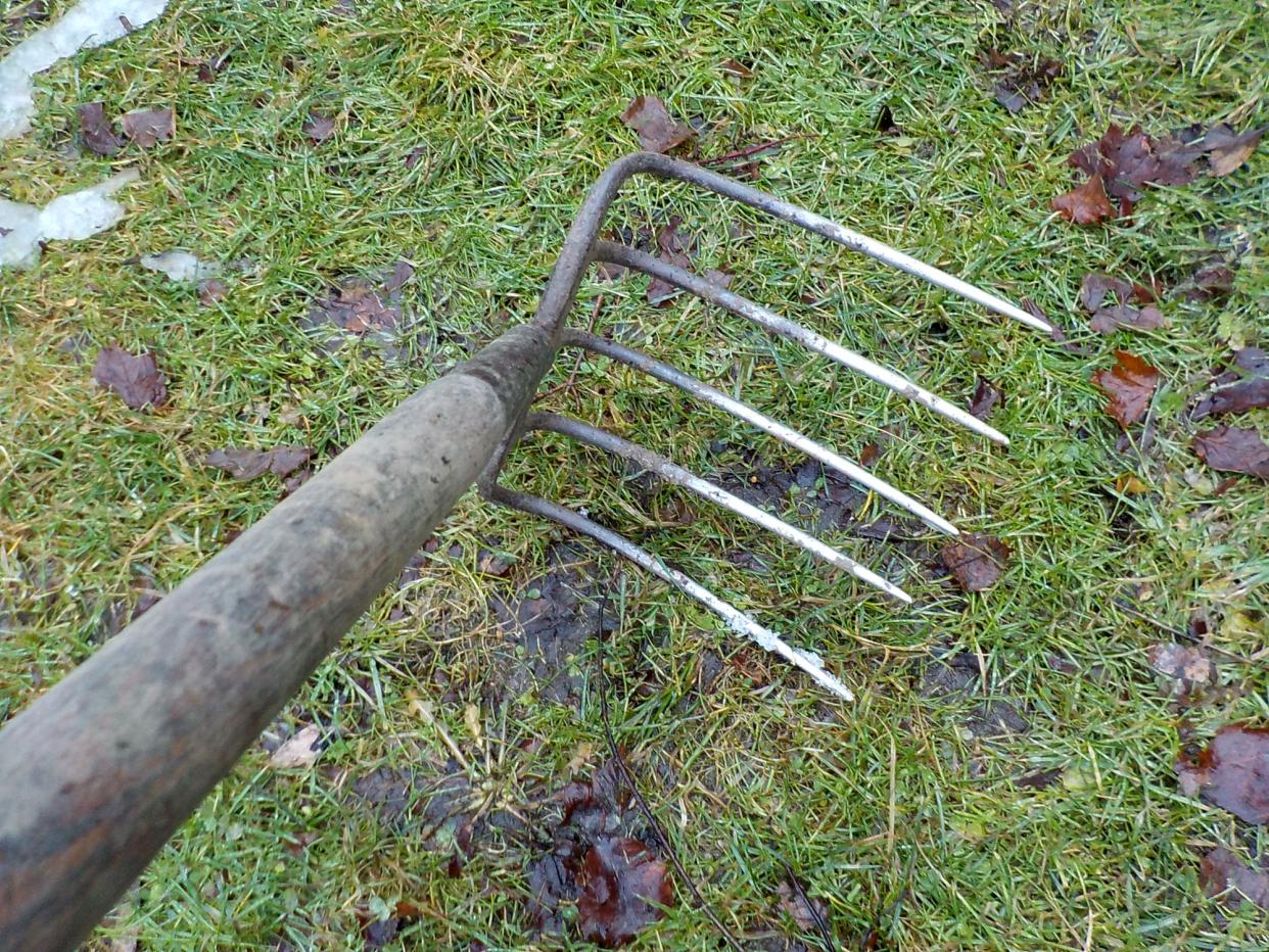 This potato rake is great for preparing the soil for planting.