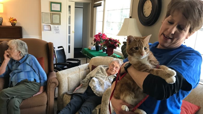 Feline visits: The 'purrfect' therapy for Regina seniors