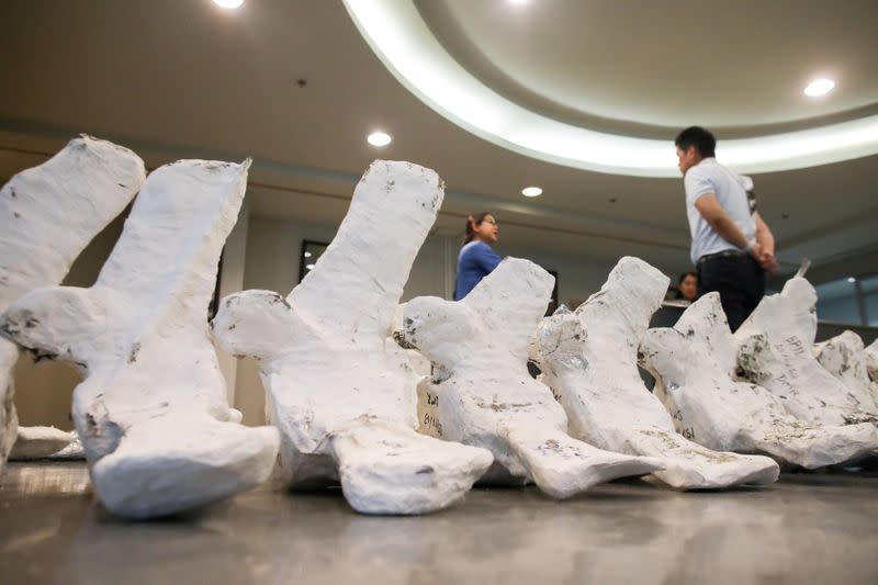 Thai archaeologists stand next to a whale skeleton in Pathum Thani