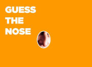 Hint: You might consider this nose "unfortunate."