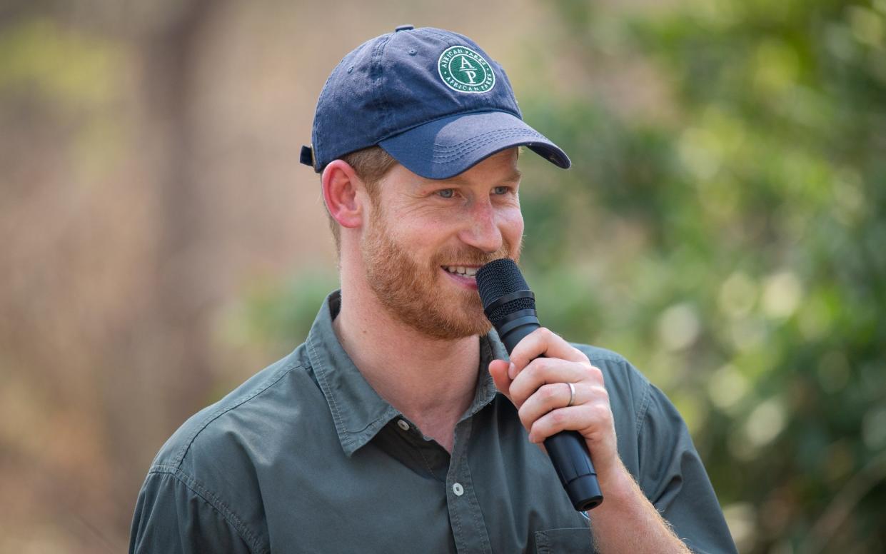 Duke of Sussex was president of non-profit African Parks from 2017 until last year, when he was appointed to the organisation’s board of directors