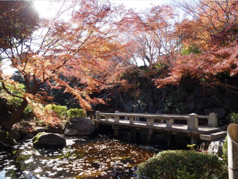 東京冬季浪漫點燈之紅葉名所