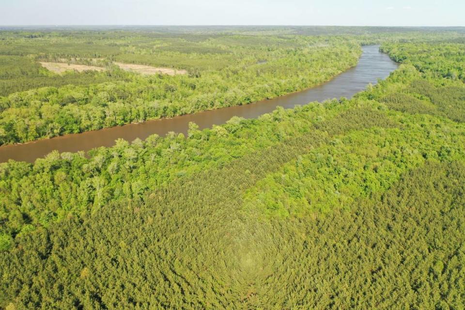 The Triangle Land Conservancy bought 665 acres of forest and wetlands along the Cape Fear River in Lee County in 2023. Protections have narrowed for North Carolina wetlands not directly connected to federally protected waterways.