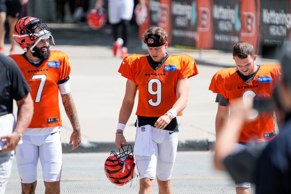 Cincinnati Bengals Perfectly Happy with their Quarterback Roster -  EssentiallySports