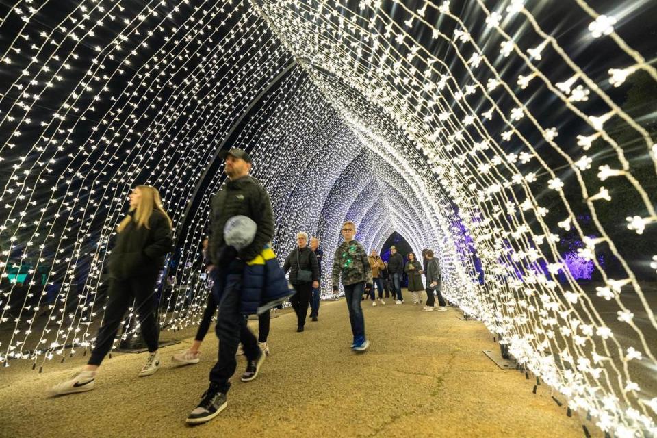 Guest walk through the ‘Tunnel of Lights’ display during the Lightscape 2023 event at the Fort Worth Botanic Gardens on Friday, Nov. 24, 2023.