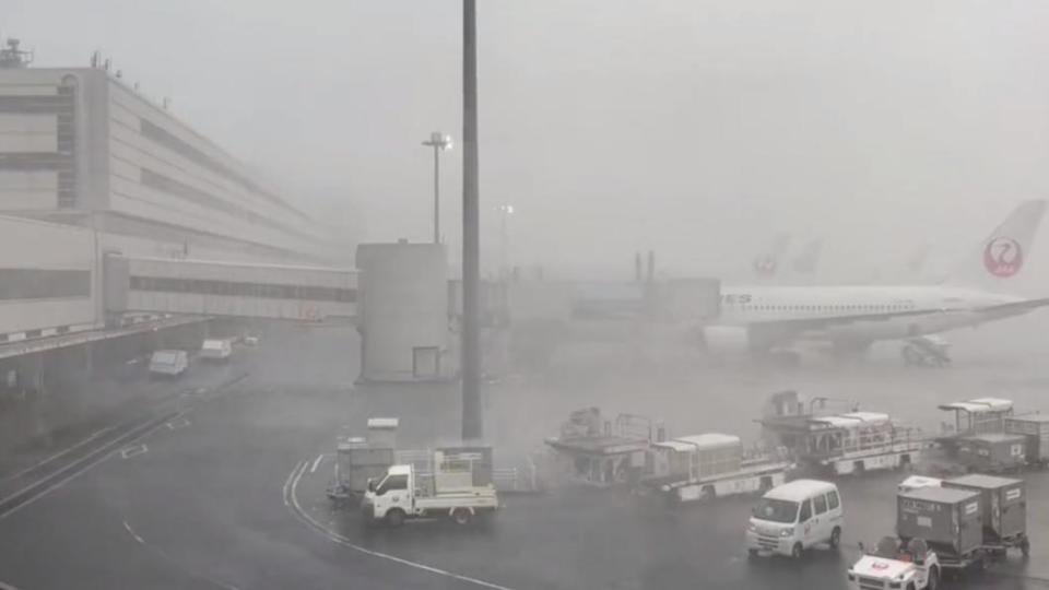 羽田機場因雷雨，地勤作業一度中斷，飛機無法起降。（圖／翻攝自@titin_pui2推特）