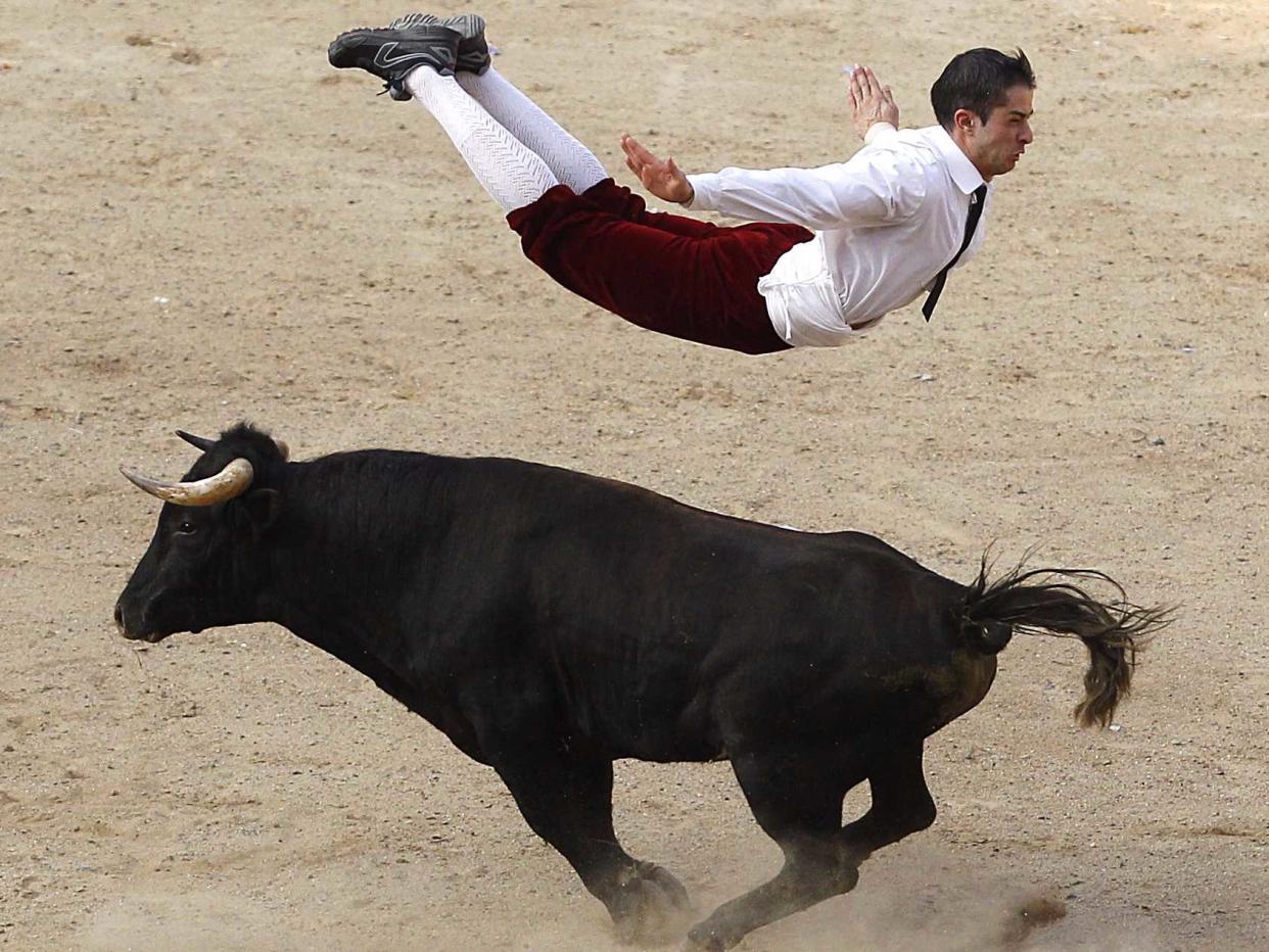 bull matador jump fly