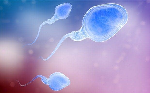 A cluster of new research has revealed how sperm reduces in quality as men age - © Mopic / Alamy