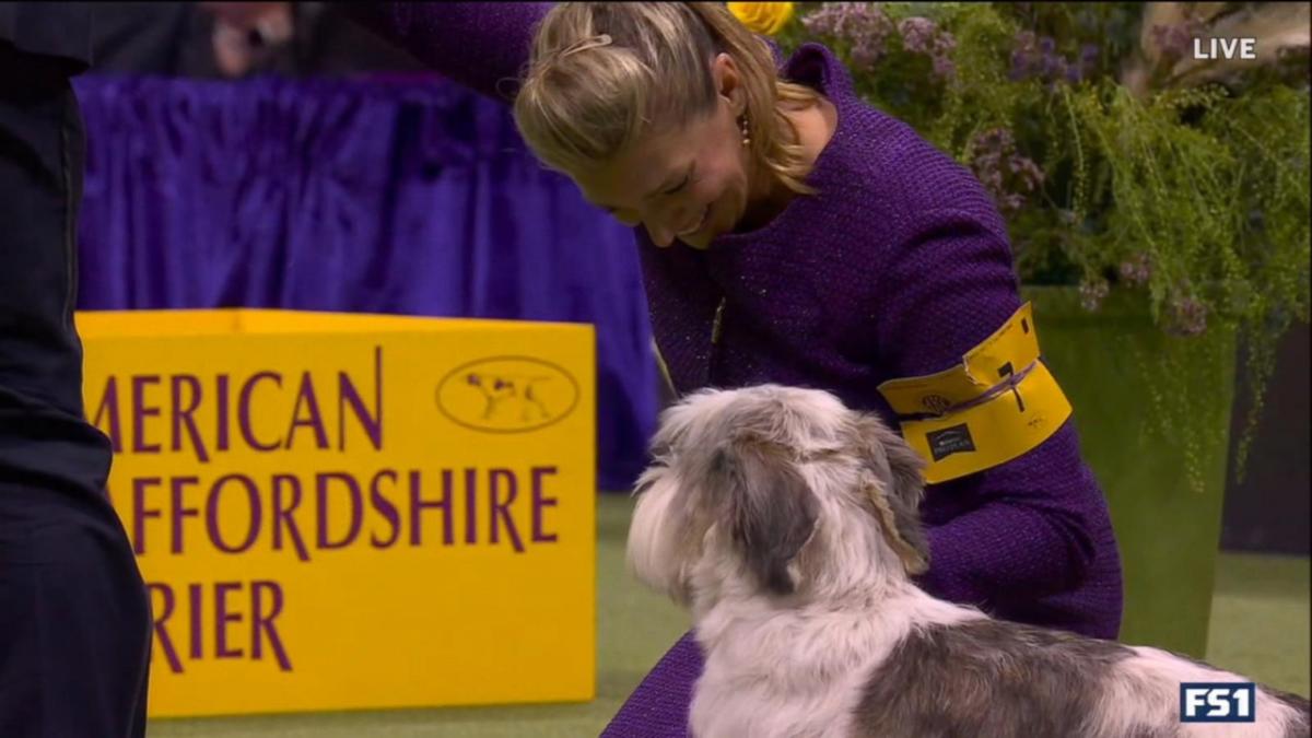 Westminster Dog Show winner makes history