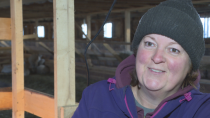 Fredericton Junction farm revived by Ontario family