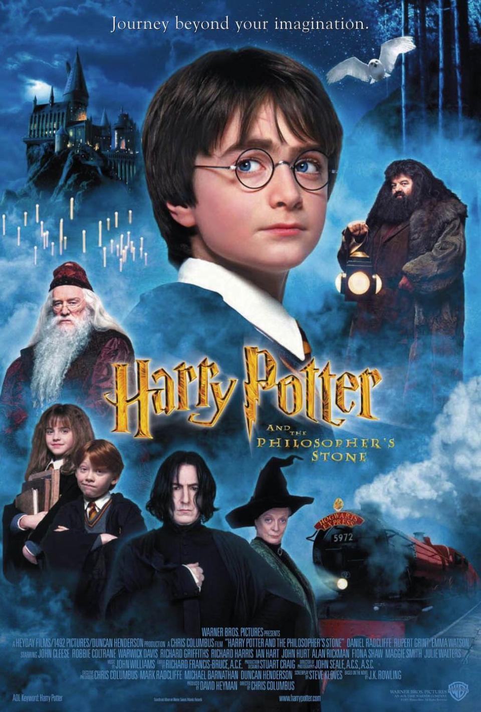 29) Harry Potter Series