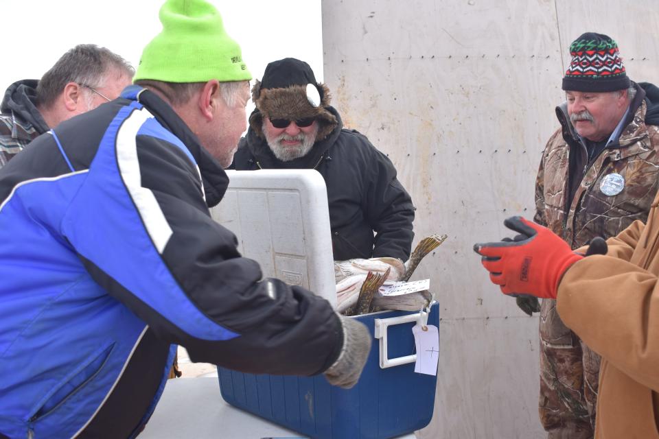 Devils and Round Lake Men's Club members and others Saturday afternoon, Feb. 4, 2023, gather around the fish board near Manitou Beach Marina to check out some of the best catches of the day during the annual ice fishing contest at the Devils Lake Tip-Up Festival. The contest ran Friday through Sunday, and prizes were awarded to biggest and best caught fish in various categories.