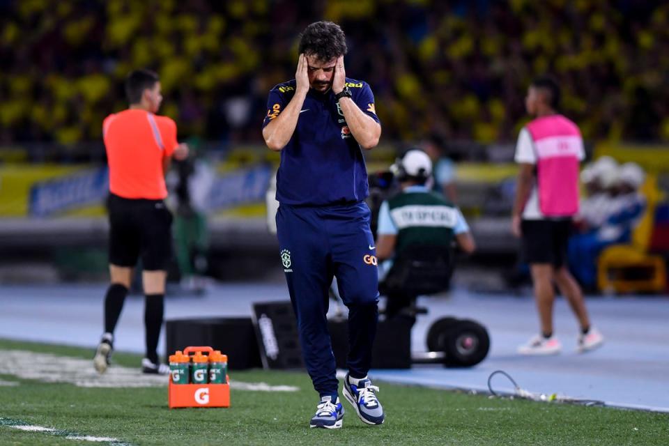 Fernando Diniz, Brazil interim manager  (Getty Images)