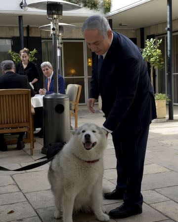 Israeli Prime Minister Benjamin Netanyahu (C) stands next to his recently adopted dog Kaiya during his meeting with U.S. Secretary of State John Kerry (rear & 3rd L) in Jerusalem November 24, 2015. REUTERS/Matty Stern/U.S. Embassy Tel Aviv/Handout