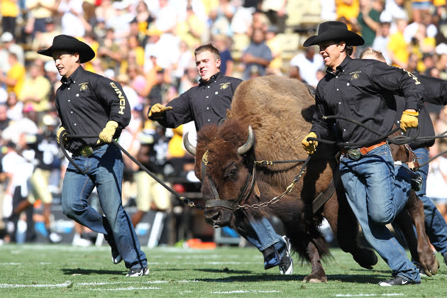 Ralphie, University of Colorado