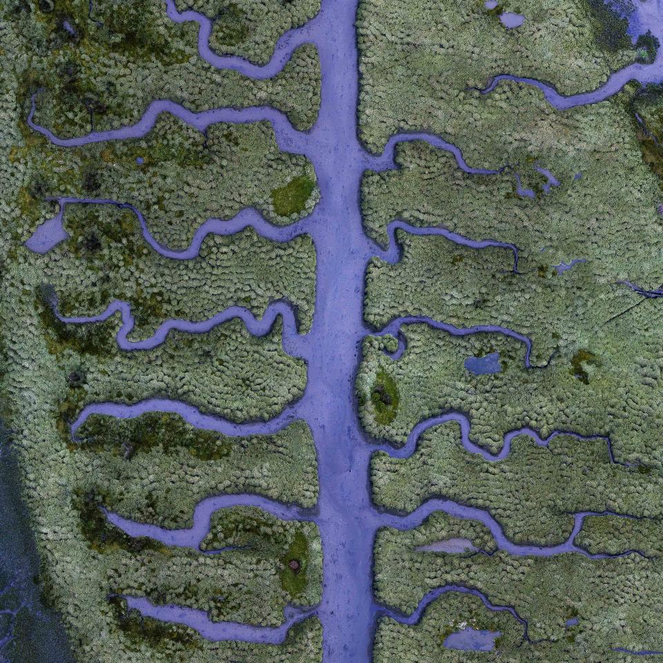 Salty Marsh, near Coruna in northern Spain. (Photo: Milan Radisic/Caters News)