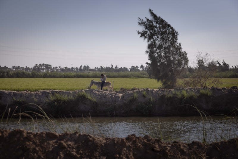 Farmland in the Nile Delta is exposed to climate change-related impacts like heat waves and water shortages.