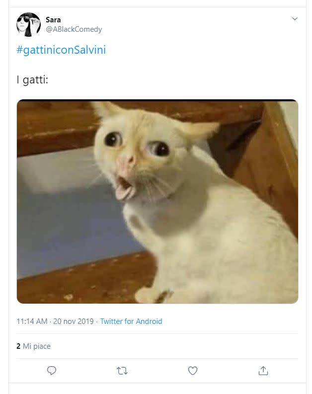 Molti altri hanno sfruttato l'hashtag #gattiniconSalvini per creare dei meme contro il leader leghista