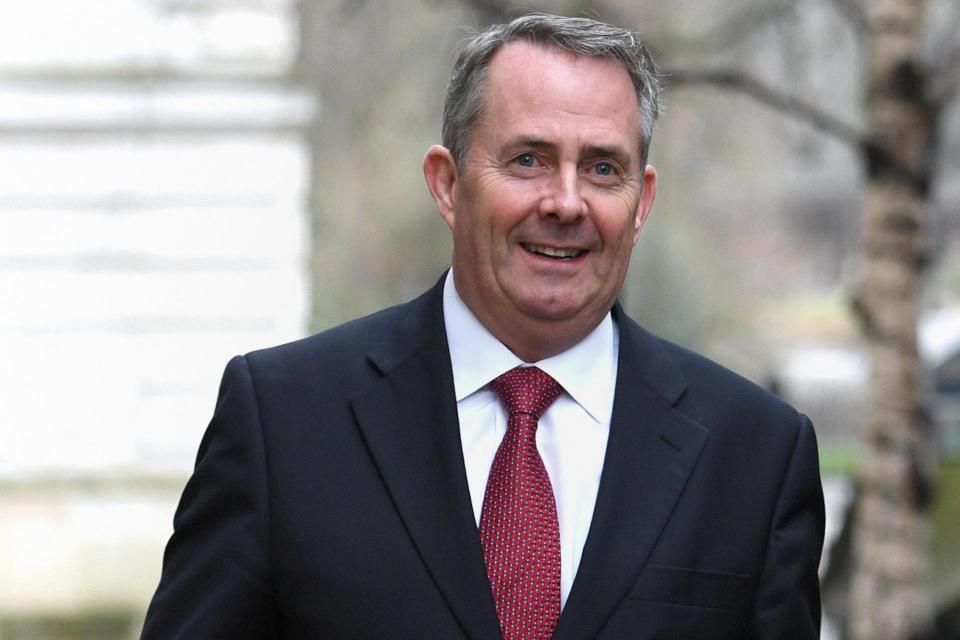 Calls for action: Liam Fox has claimed the BBC is ignoring positive Brexit stories: PA