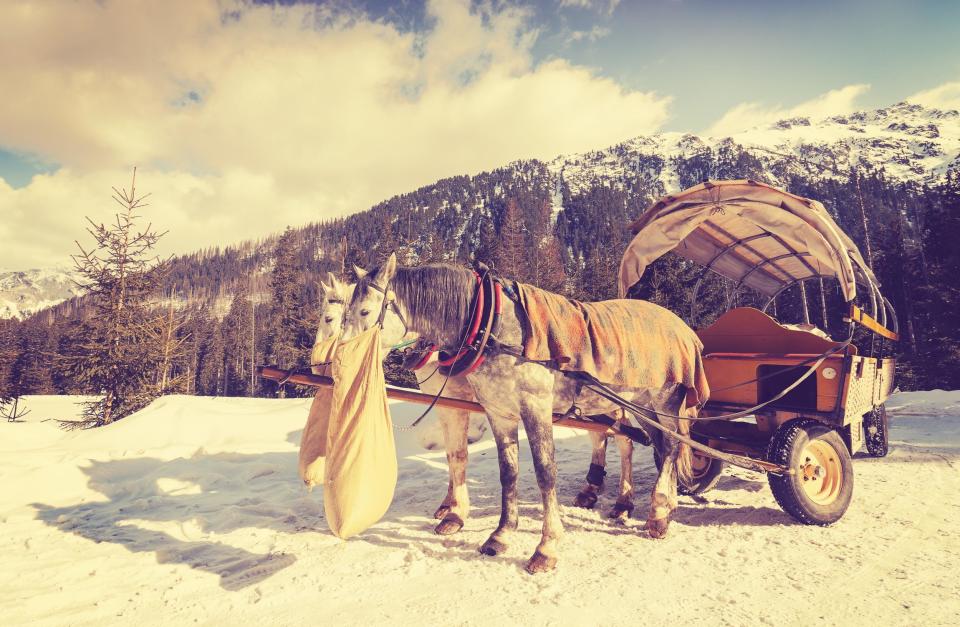 A horse-drawn carriage ride is standard in Zakopane (Shutterstock)