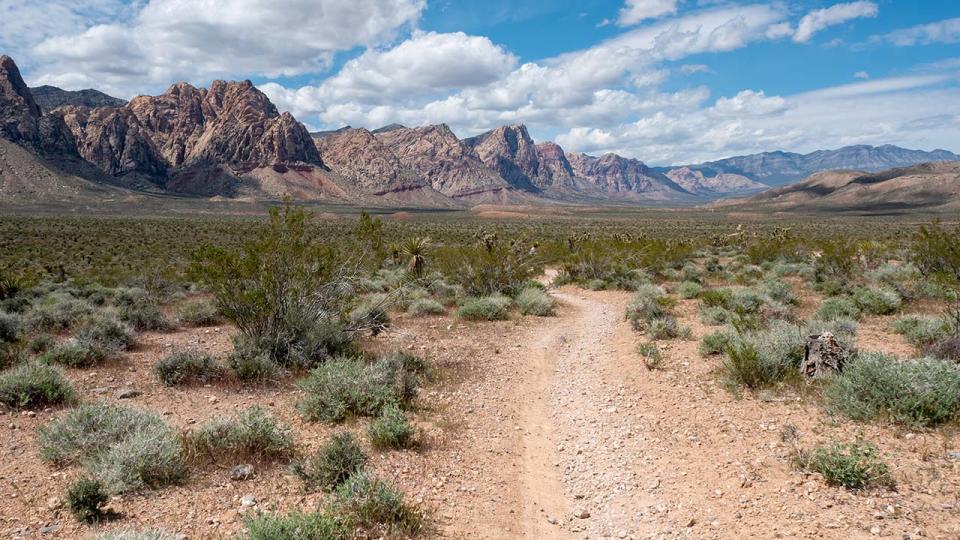 A hiking and mountain biking trail near Red Rock Canyon National Conservation Area. (FILE | Adobe Stock)