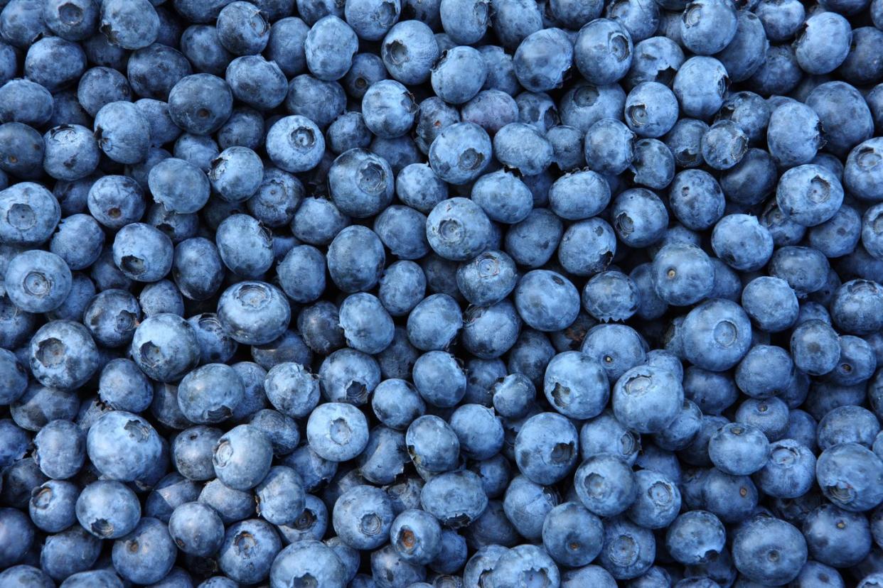 background of fresh blueberries